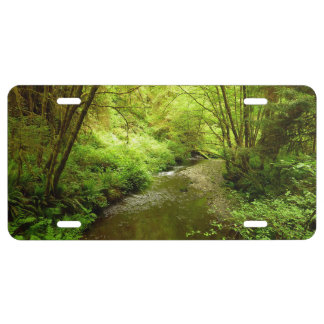 Lost Man Creek I at Redwood National Park License Plate