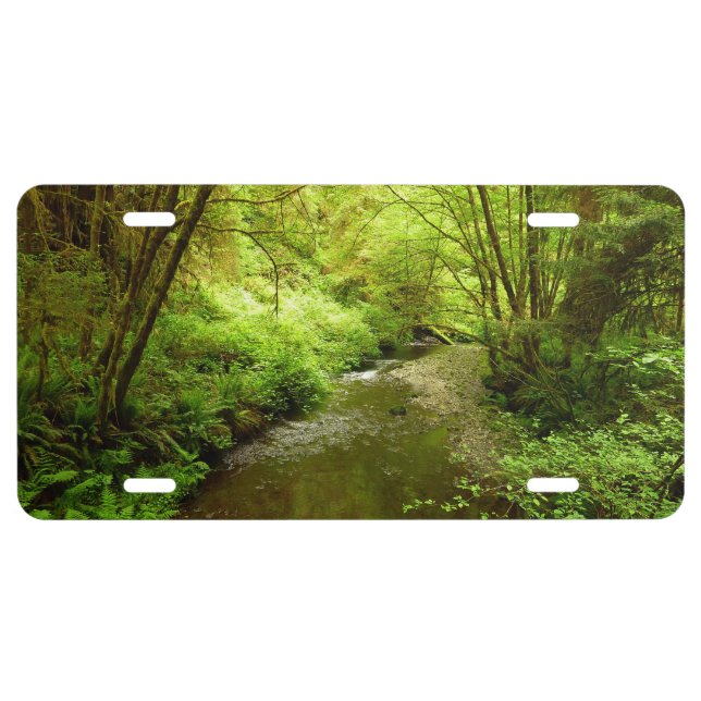 Lost Man Creek I at Redwood National Park License Plate (Front)