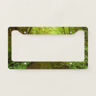 Lost Man Creek I at Redwood National Park License Plate Frame