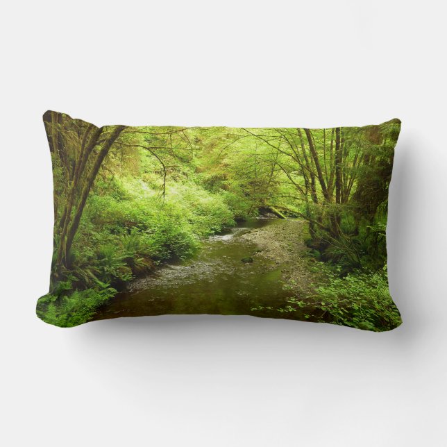 Lost Man Creek I at Redwood National Park Lumbar Pillow (Front)