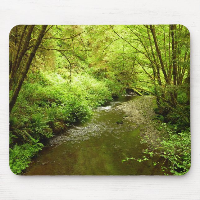 Lost Man Creek I at Redwood National Park Mouse Pad (Front)