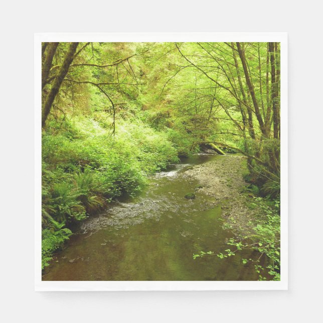 Lost Man Creek I at Redwood National Park Napkins (Front)
