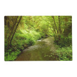 Lost Man Creek I at Redwood National Park Placemat