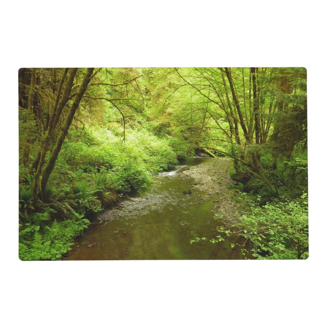 Lost Man Creek I at Redwood National Park Placemat (Front)
