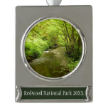 Lost Man Creek I at Redwood National Park Silver Plated Banner Ornament