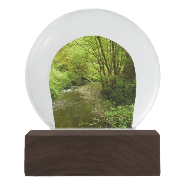 Lost Man Creek I at Redwood National Park Snow Globe (Front)