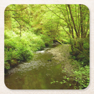 Lost Man Creek I at Redwood National Park Square Paper Coaster