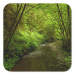 Lost Man Creek I at Redwood National Park Square Sticker