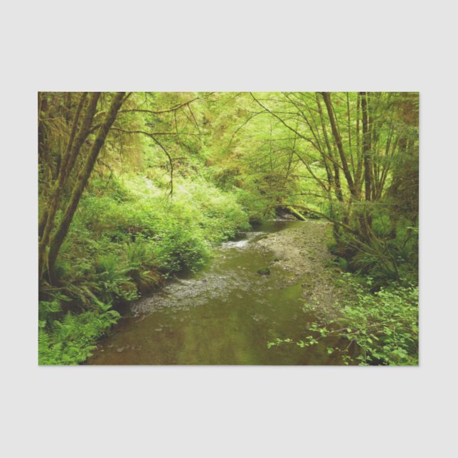 Lost Man Creek I at Redwood National Park Tissue Paper (Front)