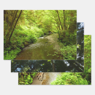 Lost Man Creek I at Redwood National Park Wrapping Paper Sheets