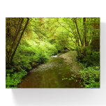 Lost Man Creek I Paperweight