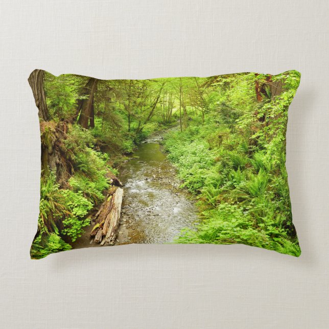 Lost Man Creek II at Redwood National Park Accent Pillow (Front)