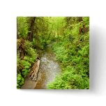 Lost Man Creek II at Redwood National Park Button