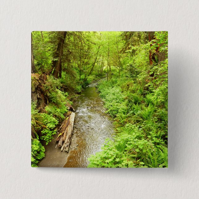 Lost Man Creek II at Redwood National Park Button (Front)