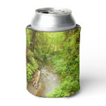 Lost Man Creek II at Redwood National Park Can Cooler