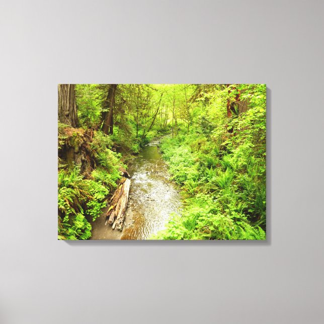 Lost Man Creek II at Redwood National Park Canvas Print (Front)
