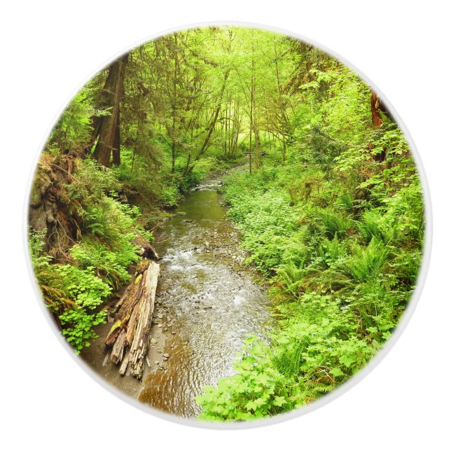 Lost Man Creek II at Redwood National Park Ceramic Knob (Front)
