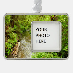 Lost Man Creek II at Redwood National Park Christmas Ornament