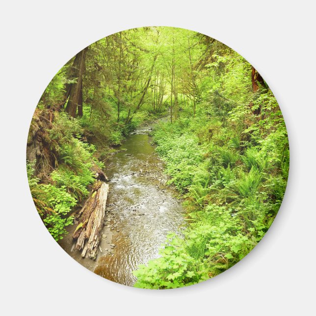 Lost Man Creek II at Redwood National Park Magnet (Front)