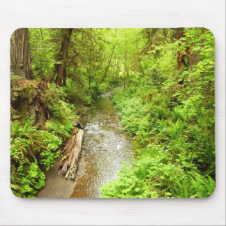 Lost Man Creek II at Redwood National Park Mouse Pad