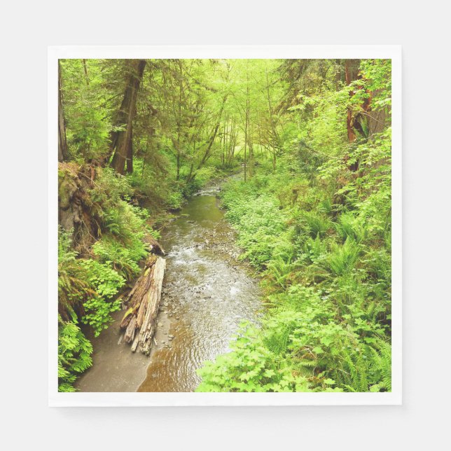 Lost Man Creek II at Redwood National Park Napkins (Front)