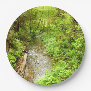 Lost Man Creek II at Redwood National Park Paper Plates