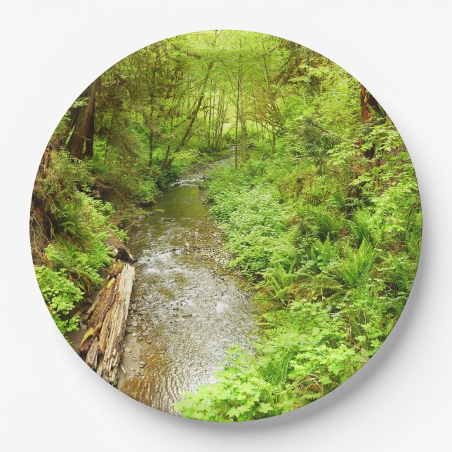 Lost Man Creek II at Redwood National Park Paper Plates (Front)