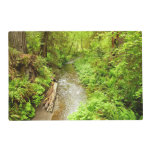 Lost Man Creek II at Redwood National Park Placemat
