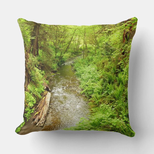 Lost Man Creek II at Redwood National Park Throw Pillow (Front)