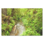 Lost Man Creek II at Redwood National Park Tissue Paper