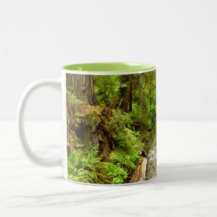 Lost Man Creek II at Redwood National Park Two-Tone Coffee Mug
