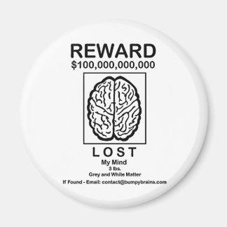 Lost My Mind Magnet