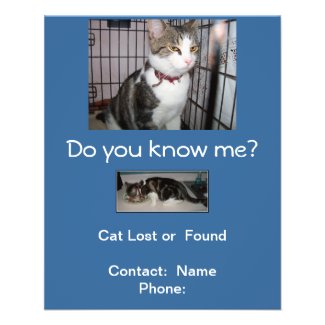 Lost or Found Cat Mailbox Flyer