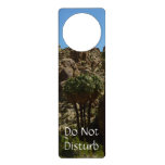 Lost Palms Oasis I at Joshua Tree National Park Door Hanger