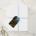 Lost Palms Oasis I at Joshua Tree National Park Gift Tags