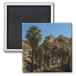 Lost Palms Oasis I at Joshua Tree National Park Magnet