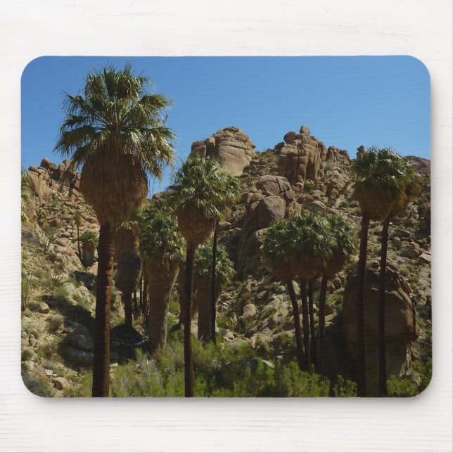 Lost Palms Oasis I at Joshua Tree National Park Mouse Pad (Front)