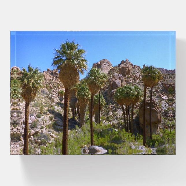 Lost Palms Oasis I at Joshua Tree National Park Paperweight (Front)