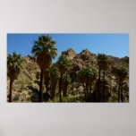 Lost Palms Oasis I at Joshua Tree National Park Poster