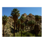 Lost Palms Oasis I at Joshua Tree National Park Poster