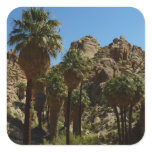 Lost Palms Oasis I at Joshua Tree National Park Square Sticker