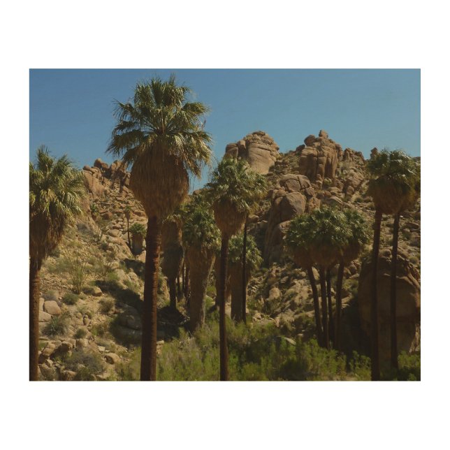 Lost Palms Oasis I at Joshua Tree National Park Wood Wall Art (Front)