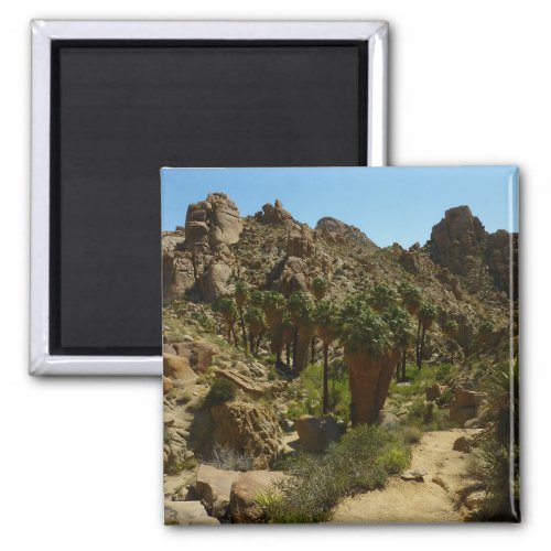 Lost Palms Oasis II at Joshua Tree National Park Magnet