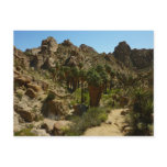 Lost Palms Oasis II at Joshua Tree National Park Postcard