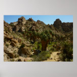 Lost Palms Oasis II at Joshua Tree National Park Poster