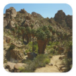 Lost Palms Oasis II at Joshua Tree National Park Square Sticker