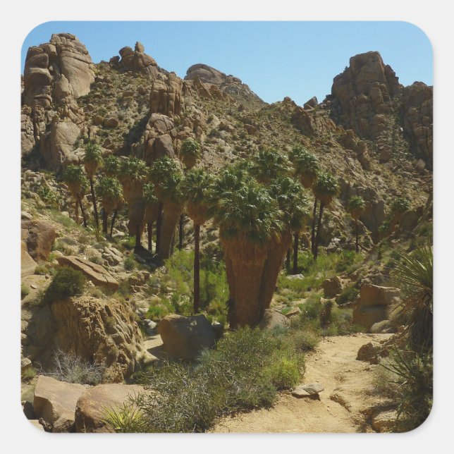 Lost Palms Oasis II at Joshua Tree National Park Square Sticker (Front)