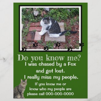 Lost Pet Flyer Template by Susang6 at Zazzle
