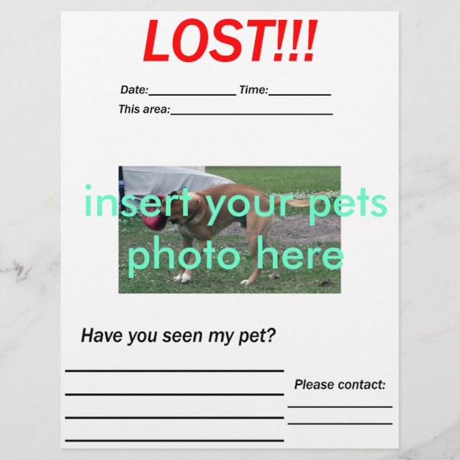 LOST PET FLYER - vertical (Front)