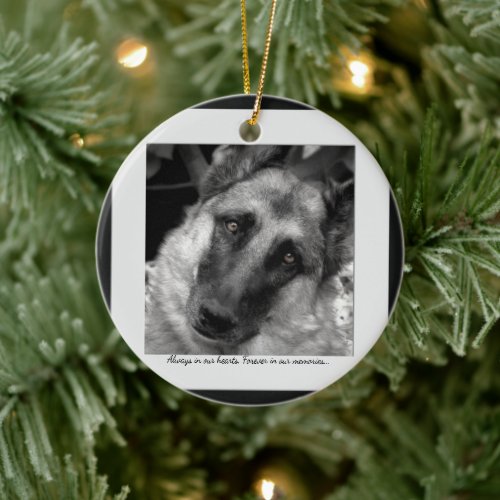 Lost Pet Ornament Personalized with Your Photos